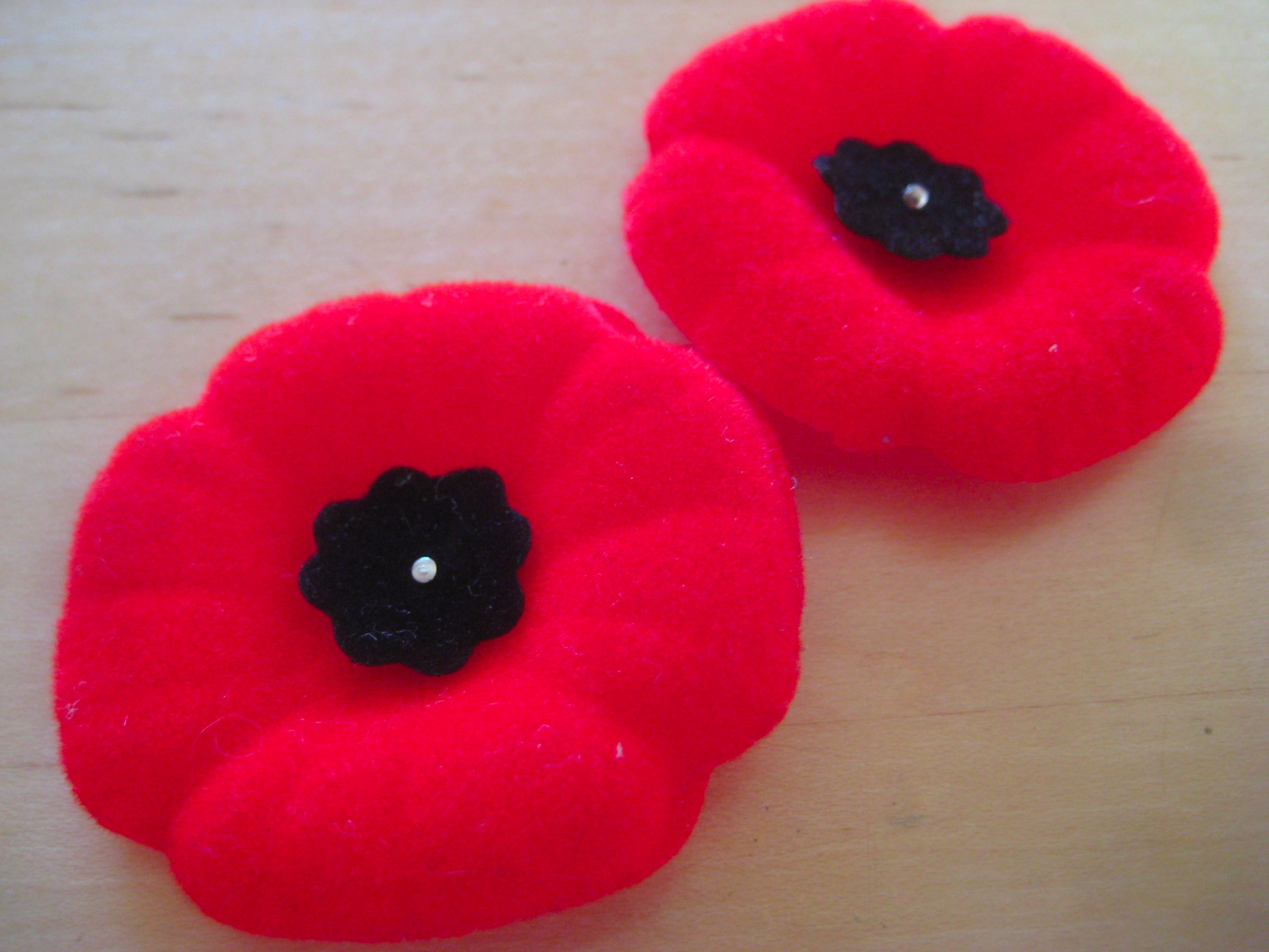 canadian poppies