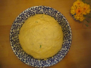 First rising of jalapeno-sourdough sponge. (photo by Lucy Martin)