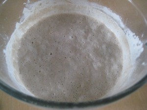 Sourdough starter is humble and unimpressive in appearance - terrific in flavor. (photo by Lucy Martin)