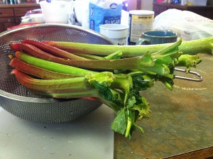 Must have local rhubarb. Photo: Natalie Dignam