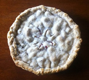 Rhubarb pie. Fresh from the oven. Photo: Natalie Dignam