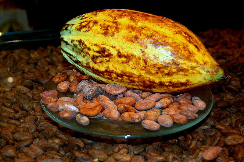 Where it starts: cocoa fruit with cocoa beans. Image by Mininus, Creative Commons