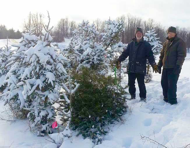 Radio Bob and Guy Berard getting ready to bring home  their real Christmas trees. Photo: Jackie Sauter