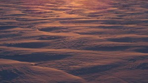 Sistrugi (ripple) patterns in windblown snow on Lake Champlain at sunrise. NCPR Photo of the Day by Andy Sajor