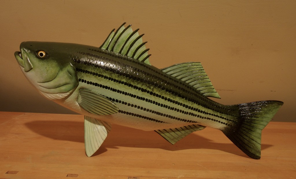 A striped bass carved, of course, from basswood. Photo: Dr.DeNo, Creative Commons, some rights reserved