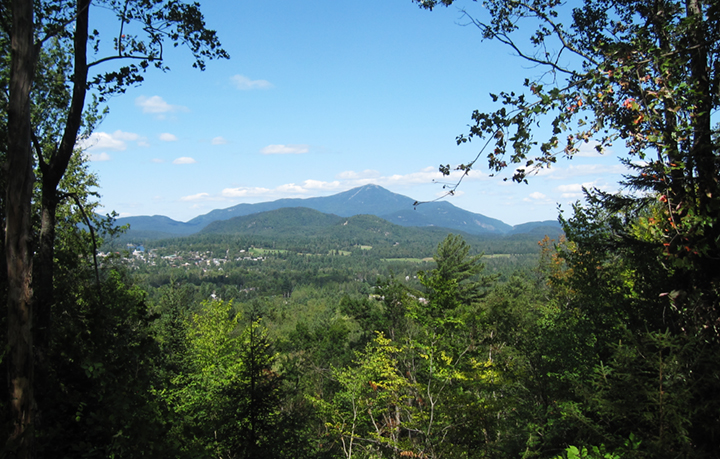 Whiteface from Henry's Woods