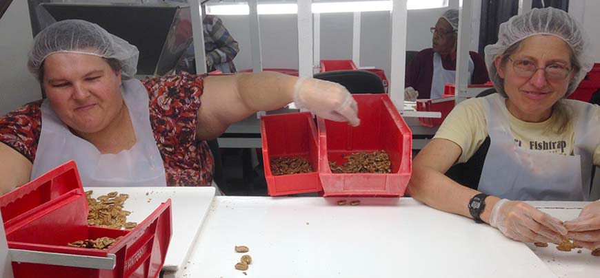 Tina and Betsy on the pecan sorting line.
