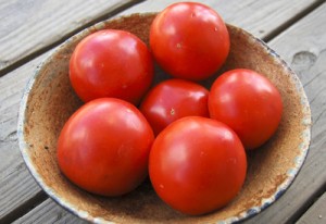 The new Iron Lady tomato provides resistance to three fungal diseases. Photo: High Mowing Organic Seeds/Cornell Chronicle
