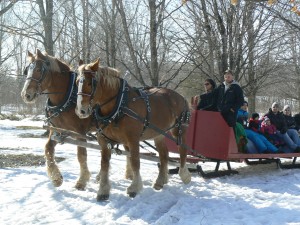 A horse-drawn sleigh ride with Glen and Susie in the hitch.  Photo by James Morgan