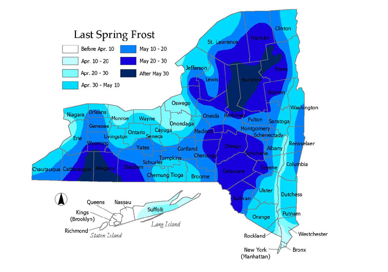 Last frost map for New York (click map to enlarge). Map: Cornell Cooperative Extension