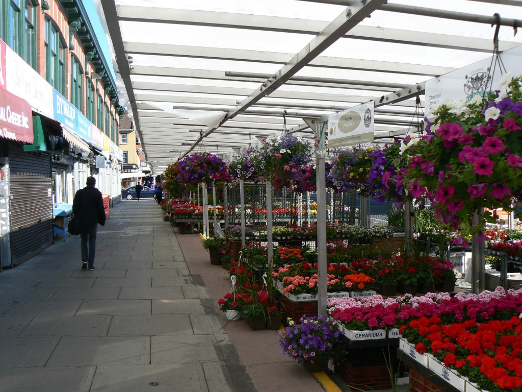 ByWard in Bloom: flowers and plants for sale on a spring morning.  Photo by James Morgan