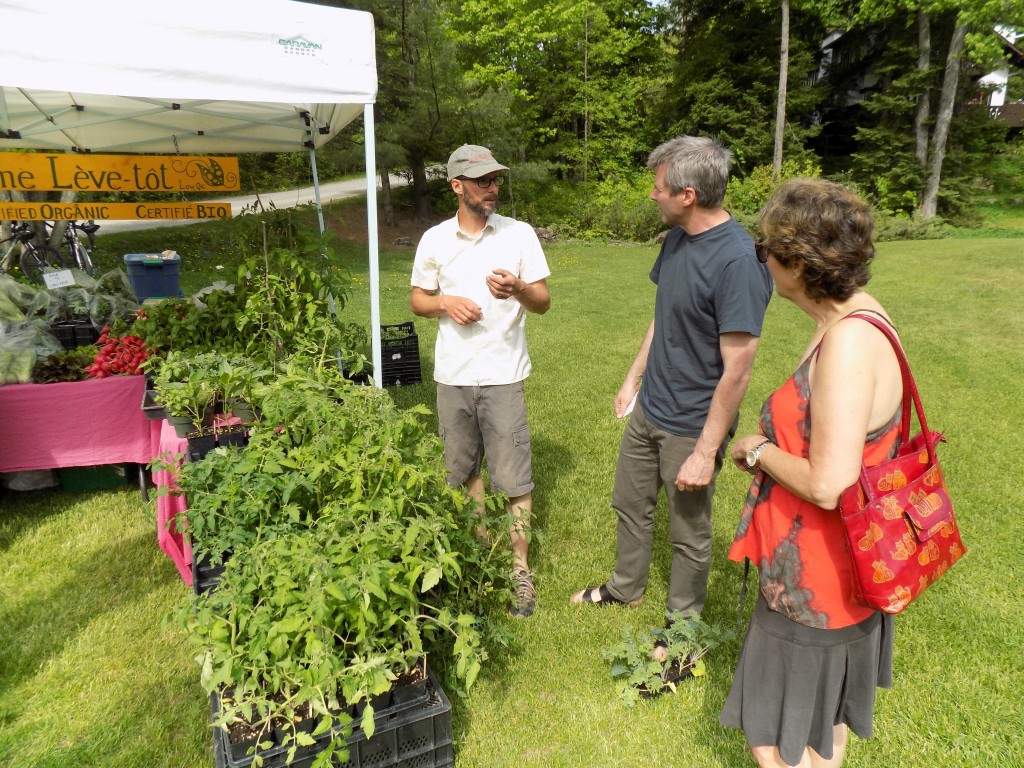 Richard Williams, who owns Ferme leve-tot with partner Charlotte Scott, talks tomato plants with customers at the Wakefield Farmer's Market.  Photo by James Morgan