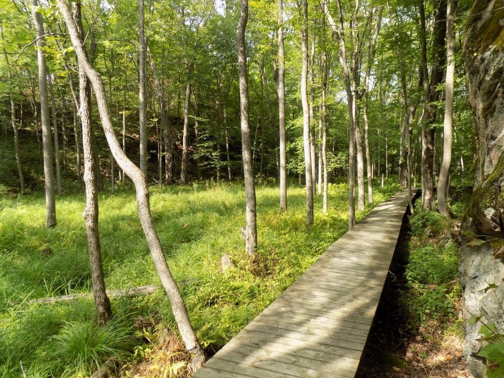 The short Arab Lake Gorge Trail gives park visitors a good introduction to Frontenac Provincial Park.  Photo by James Morgan