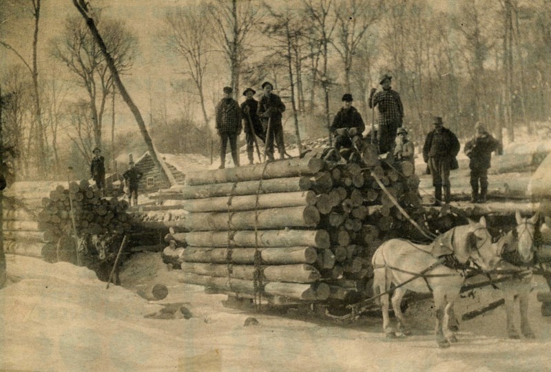 Logging at the Newston Falls Tract for Gould Paper in Lyons Falls, 1913. Bill Smith of Philadelphia is driving the team. photo: Philadelphia Historical Society Museum. photo loaned by Karl Hart of Philadelphia.