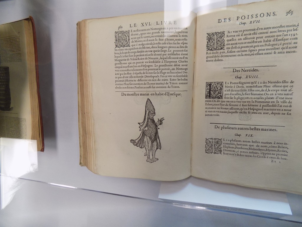 This is the oldest rare book in the museum's collection, "The Entire History of Fish," published in Lyon France in 1558.  The author claimed that mer-men existed.  Photo: James Morgan