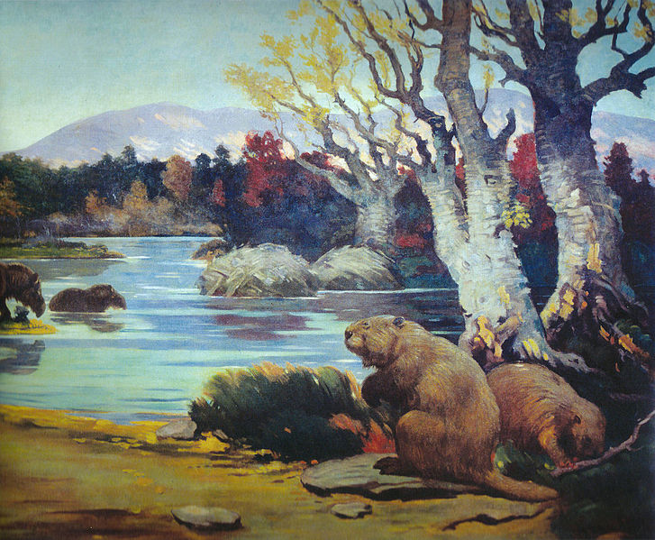 At up to six feet and 200 pounds, the extinct ice age giant beaver (Castoroides) would not be classed as "Little People." Painting: Charles R. Knight, public domain