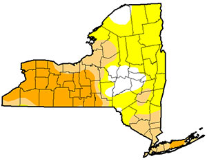 Drought monitor map for New York on July 26, 2016. Yellow is abnormally fry, tan is moderate drought, orange is severe drought. Map: USDA