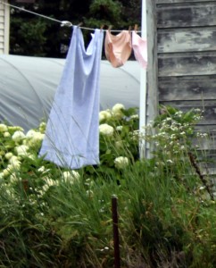 Laundry hanging on a clothesline