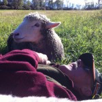 bill&sheep9-12-023a