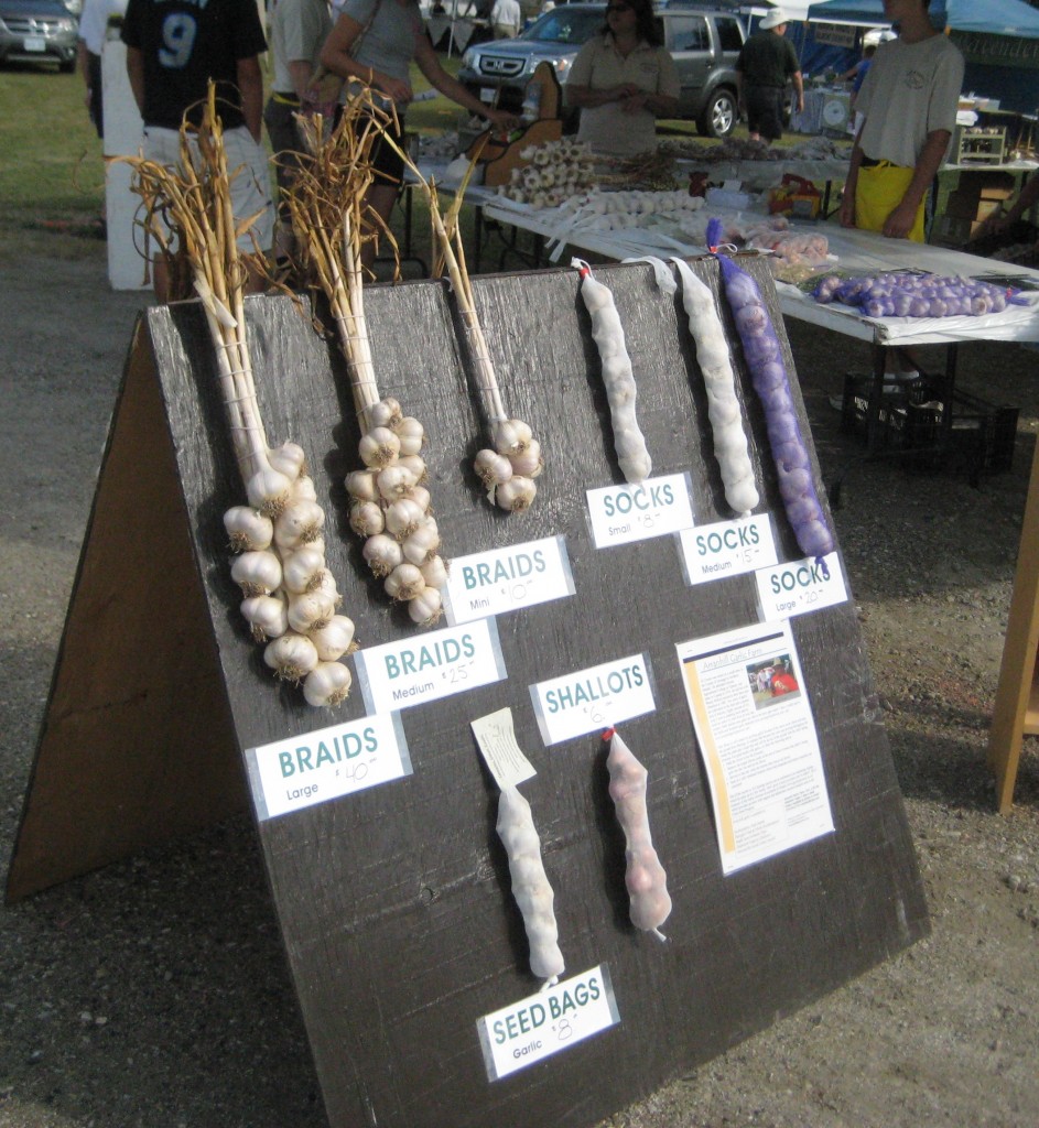 Garlic products on display at the 2011 Perth Garlic Festival (photo: Lucy Martin)