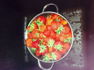 Strawberries! Photo: Kelly Trombley