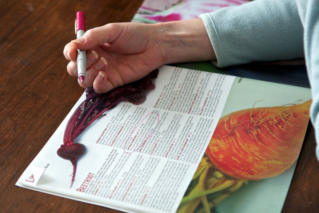 Winter gardening recreation--ordering seeds. Photo: Susy Morris, Creative Commons, some rights reserved