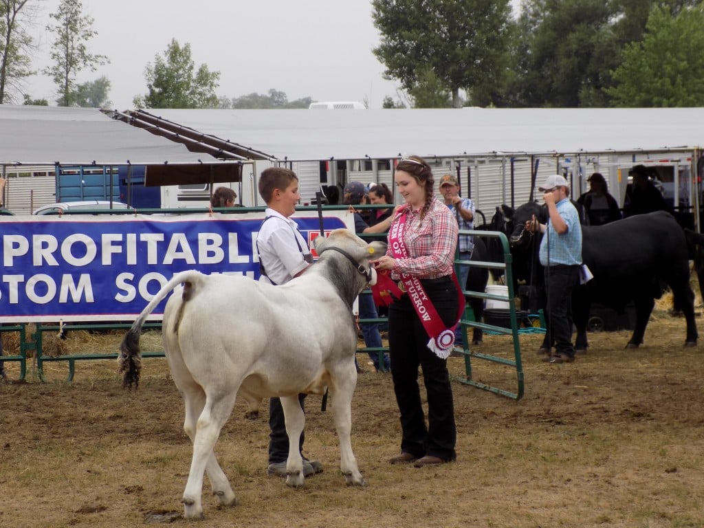 In a time where it seems like young people are less interested in farm and country life, scenes like this show up.  Here a young farmer receives a first prize ribbon for his entry in the cattle competition.  Presenting the ribbon is the Grenville County Queen of the Furrow.  Plowmen's associations in ever county across Ontario hold a Queen of the Furrow competition each year.  Photo by James Morgan