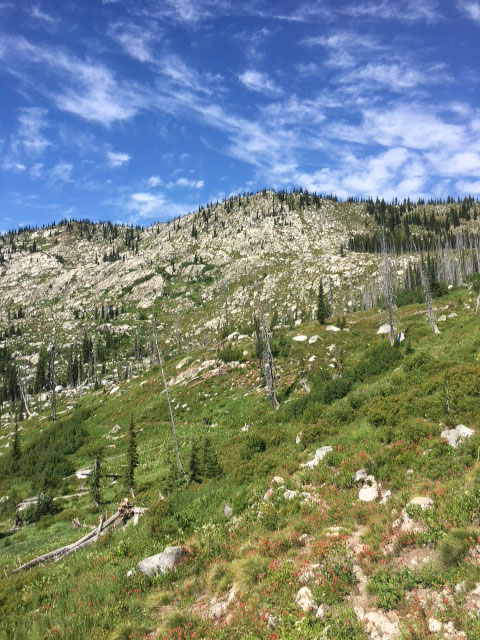 View from the trail near Two Lakes in the Selway-Bitterroot Wilderness. Photo: Lee Van de Water