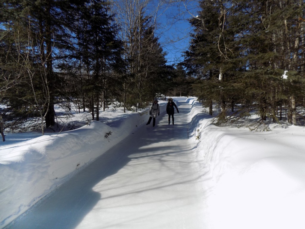 This is a typical section of the Skateway Through the Forest.  Photo: James Morgan