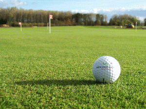 Putting green is not the goal for a healthy lawn. Photo: Felix7634, Creative Commons, some rights reserved