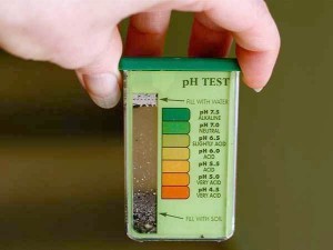 Soil pH test kit. Result? Acidic. Photo: Susy Morris, Creative Commons, some rights reserved