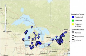 Starry stonewort has spread widely through waters in and around New York since it was first identified as an invasive in 1978. Map: USGS