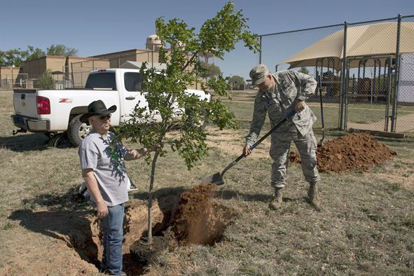 These airmen have dug a "fifty-dollar hole," but it's likely to be the tree's grave if they don't raise the trunk flare up to surface level. U.S. Air Force photo by Staff Sgt. Michael Washburn