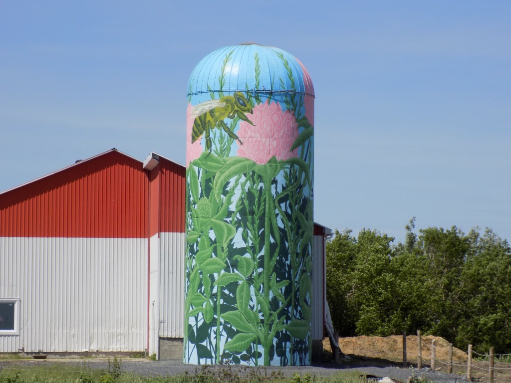 Roadsworth is a Montreal street artist who has been featured in a documentary film and once faced criminal prosecution for mischief for his art.  He painted "Environment" on the silo at Horses by Hannah, an equestrian center owned by Hannah Weideman.  The farm is located at 8 County Road 3 near the village of Casselman.  Photo: James Morgan