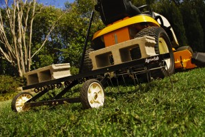 Dethatching the lawn in spring (never fall) is an effective way to remove moss. Also, complete fertilizers containing iron suppress moss and stimulate grass growth. Photo: Agri-Fab, Inc., public domain