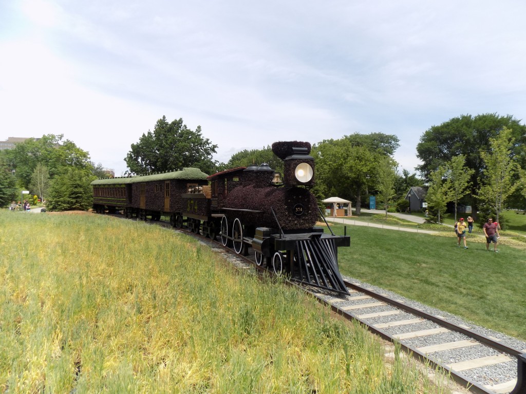 This steam train is a reminder of how the railway was a big part of Canada's settlement.  Photo: James Morgan