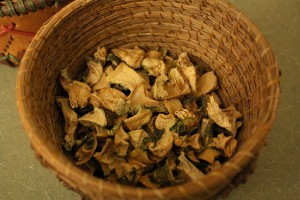 Dried squash strips are a traditional staple in native American diets. Photo: Leslie Seaton, Creative Commons, some rights reserved