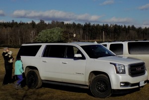 The family Christmas Tree, tied to their vehicle for the trip home.  Photo: James Morgan