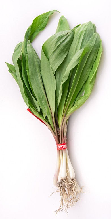 A bunch of ramps, or wild leeks, at a farmer's market. Commercial harvesting threatens the sustainability of this slowly maturing wild food. Photo: MJ, Creative Commons, some rights reserved
