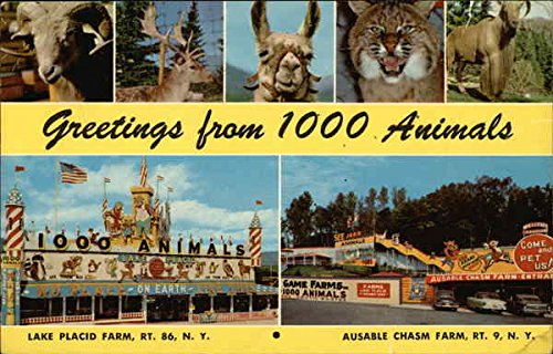 Vintage postcard, 1000 animals