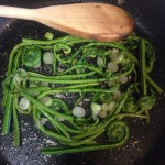 EndiveFiddlehead