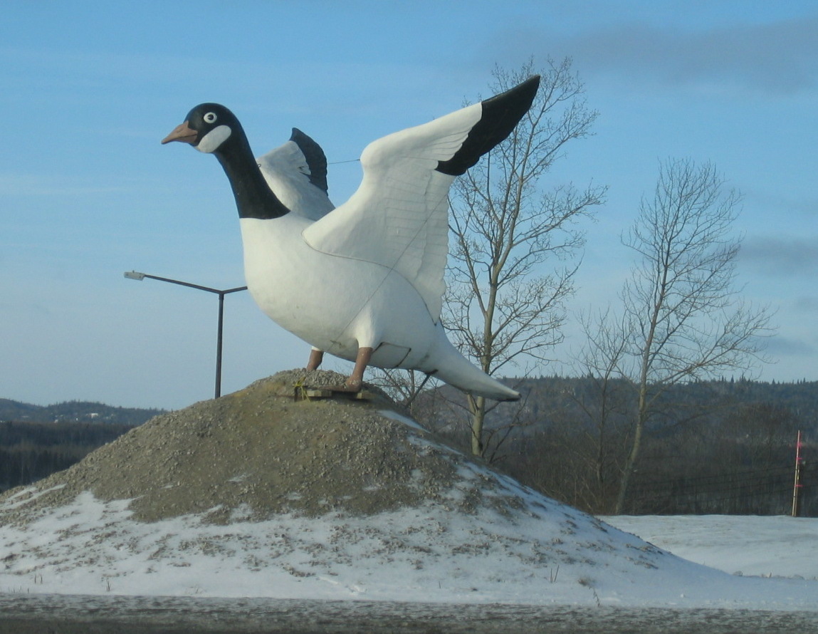 Our own tourist snapshot of Wawa's goose, from 2003. Photo: Craig Miller